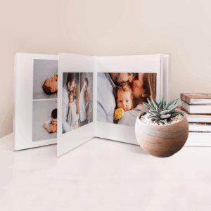 Album photo de famille avec plante succulente.