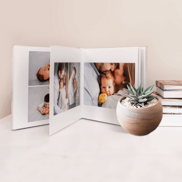 Album photo de famille avec plante succulente.