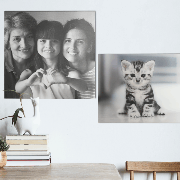Tableau photo famille et chaton décorant un mur blanc.